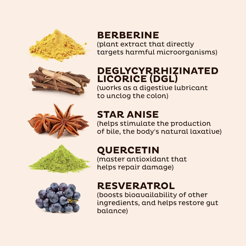 Powerhouse Ingredients That Transform Your Gut Health